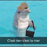 ouiouitaxis