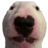 Bobama