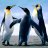 Gif10