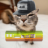 Phil_tatune