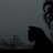 Azty_3610